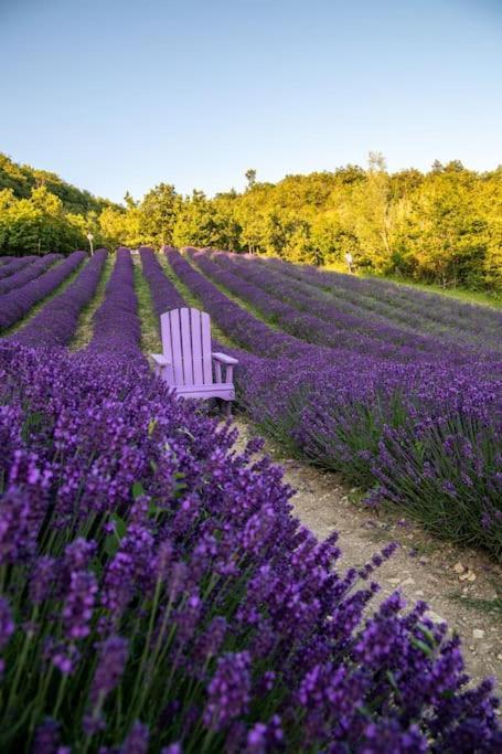 La Casa Della Lavanda Borgo Adorno 外观 照片