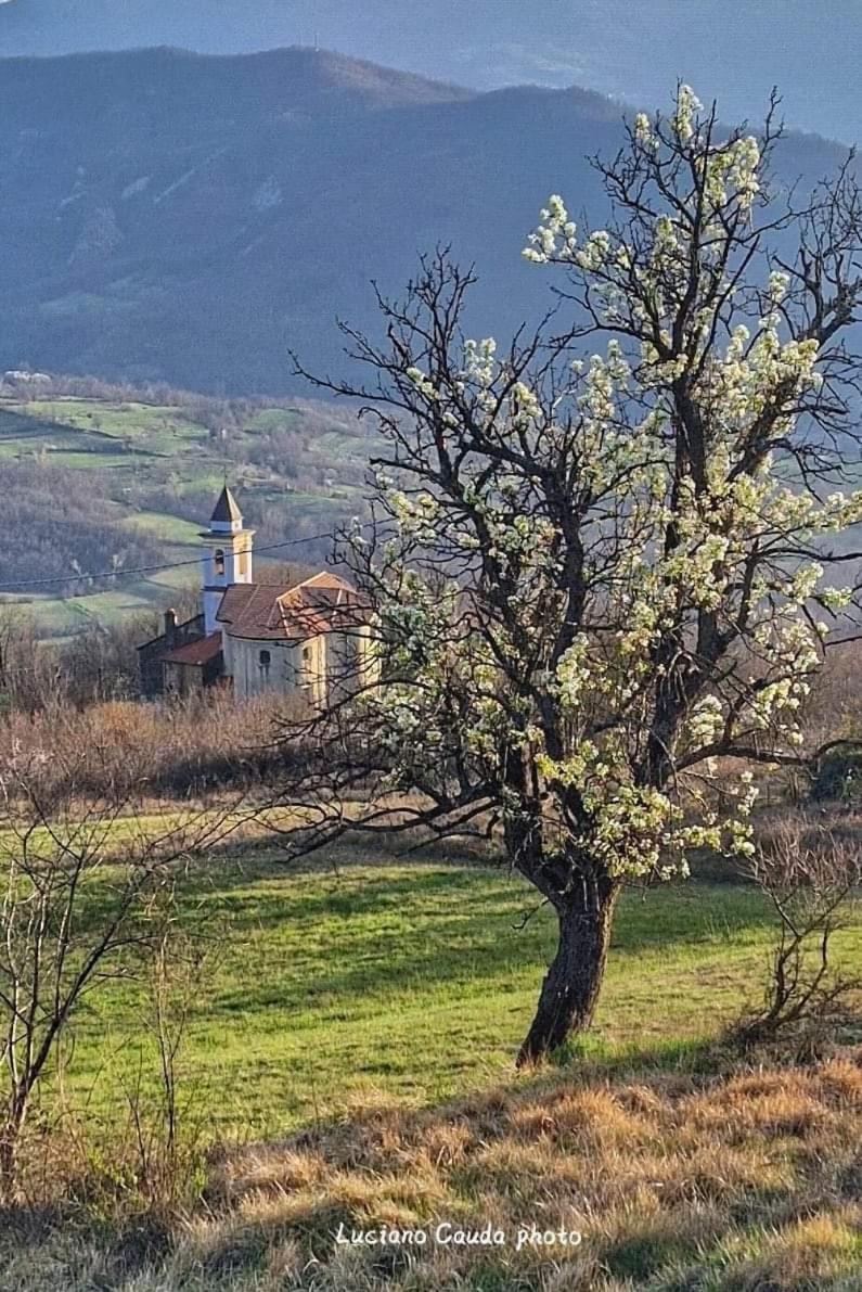 La Casa Della Lavanda Borgo Adorno 外观 照片