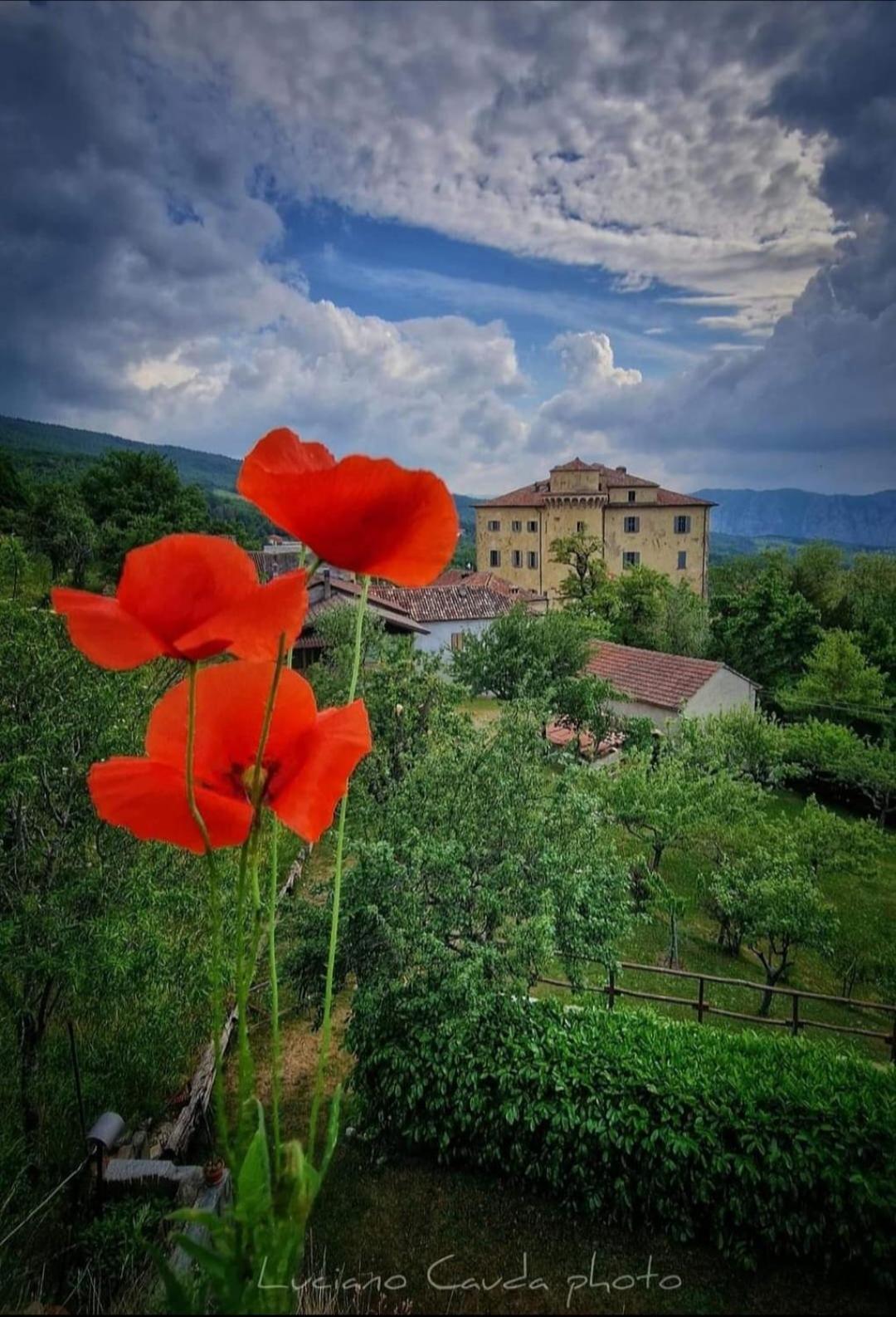 La Casa Della Lavanda Borgo Adorno 外观 照片